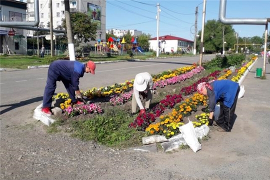 В п. Вурнары продолжаются работы по благоустройству территории