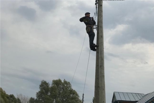 В д. Шоркасы заменили лампы уличного освещения