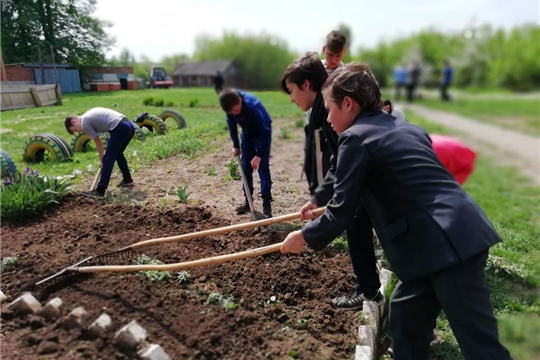 Пришкольный участок при МБОУ «Балдаевская СОШ»: все работали с удовольствием