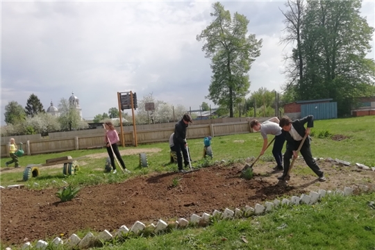 Пришкольный участок при МБОУ «Балдаевская СОШ»: все работали с удовольствием