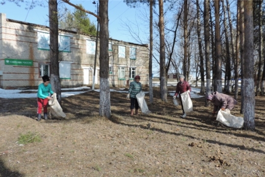 В Малотаябинском сельском поселении стартовала акция «Зеленая весна»