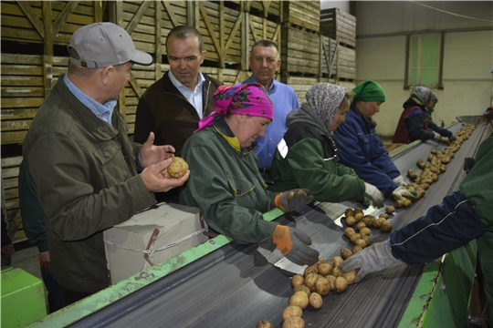 Глава Чувашской Республики Михаил Игнатьев ознакомился с ходом весенних полевых работ в Яльчикском районе