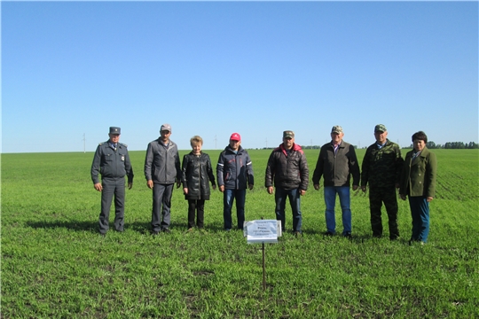 В хозяйствах Яльчикском района начались комиссионные смотры качества проведенных весенних полевых работ «Весна-2019»