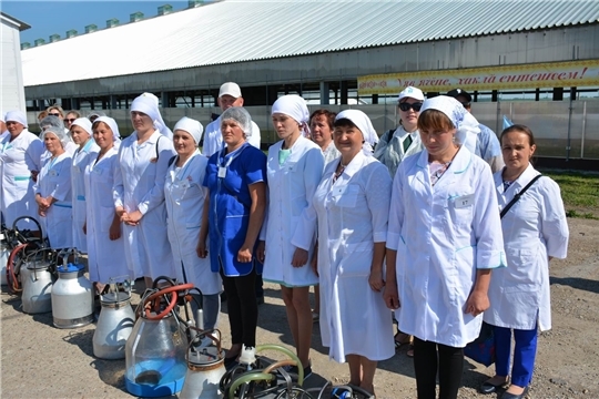 В Вурнарском районе состоялся республиканский конкурс мастеров машинного доения коров