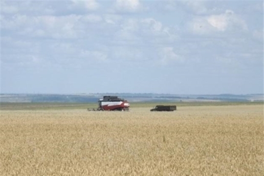 Сельхозпредприятия Новошимкусского сельского поселения приступили к уборке зерновых и зернобобовых культур