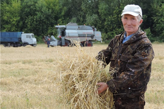 Уборка нового урожая в ООО "Яманчурино"