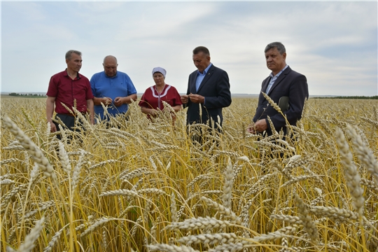 Глава администрации Яльчикского района Николай Миллин ознакомился с ходом сезонных полевых работ в хозяйствах