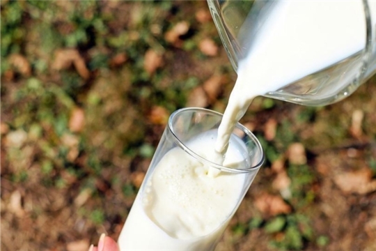 Эксперты не ожидают резких скачков цен на молоко в 2019 году