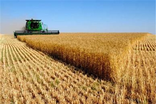 В хозяйствах республики завершается уборка зерновых и зернобобовых культур