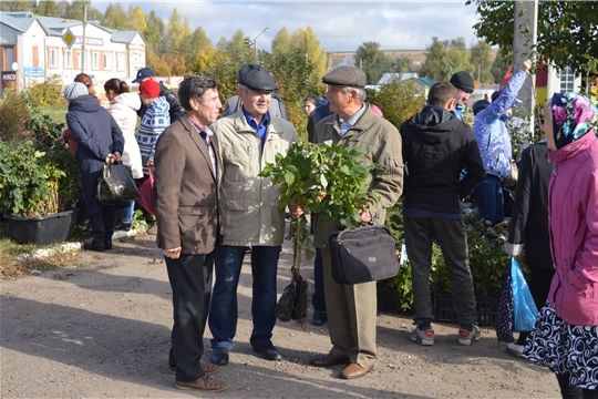 Ярмарка "Дары осени - 2019"