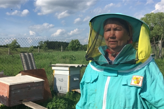 Зинаида Александрова: «Пчеловод - это на всю жизнь»