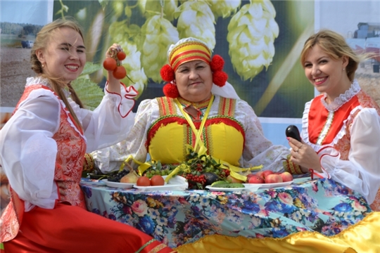 В Цивильске продолжила работу ярмарка выходного дня «Дары осени – 2019»