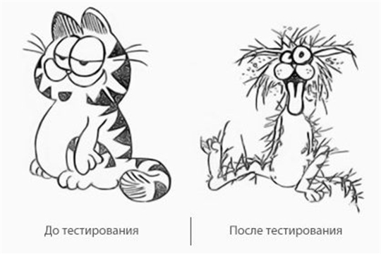День тестировщика
