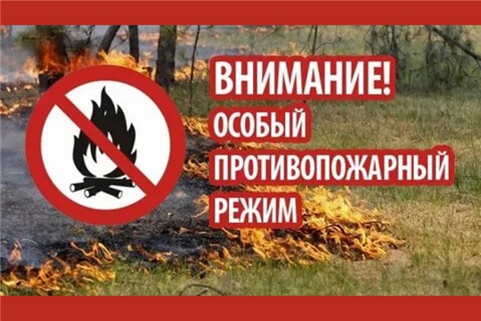 В период действия особого противопожарного режима любое разведение открытого огня запрещено