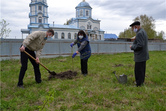 Всероссийская акция «Сад памяти» в Алатырском районе