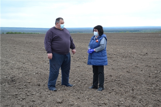 В Алатырском районе продолжается посевная кампания