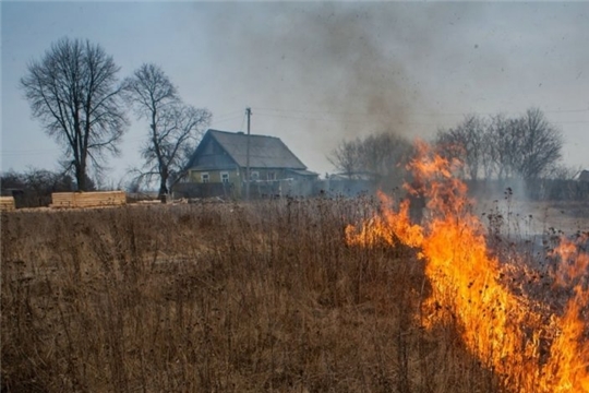 В апреле в Алатыре и Алатырском районе было составлено 12 административных протоколов за нарушения, связанные с выжиганием травы и несвоевременную уборку территорий