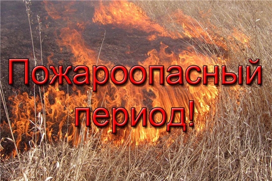МО МВД России «Алатырский» напоминает о необходимости соблюдать меры пожарной безопасности при посещении лесов