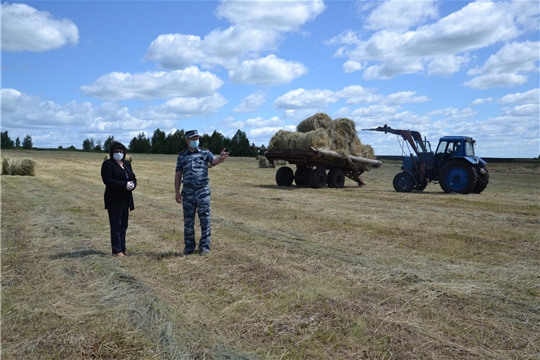 Жаркая пора на полях Алатырского района