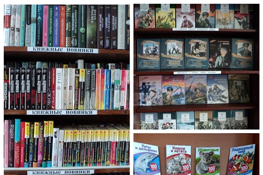 Новые книги ждут своих читателей в библиотеках Алатырского района