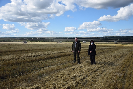 Глава администрации Нина Шпилевая ознакомилась с опытными образцами пшеницы «Гром» в ООО« КиПиАй Агро»