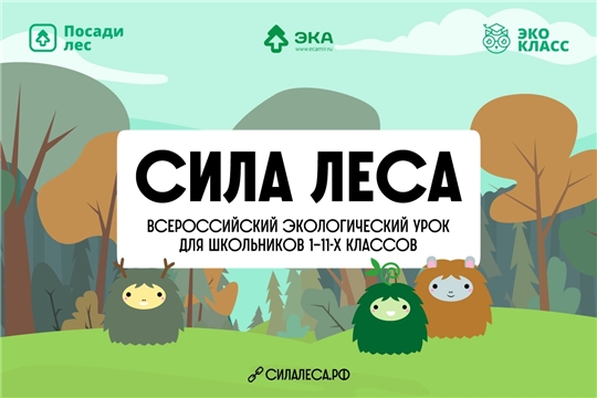 Приглашаем провести Всероссийский экологический урок «Сила леса»