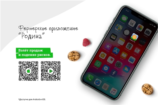 Новое мобильное приложение «Родина» для фермерских хозяйств, ЛПХ и сельскохозяйственных кооперативов