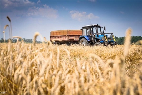 С 2021 года в России появится новый грант для сельхозпроизводителей — «Агропрогресс»