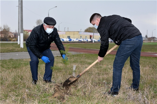 Международная акция «Сад памяти», прирученная к 75-летию Победы в память о погибших в годы Великой Отечественной войны