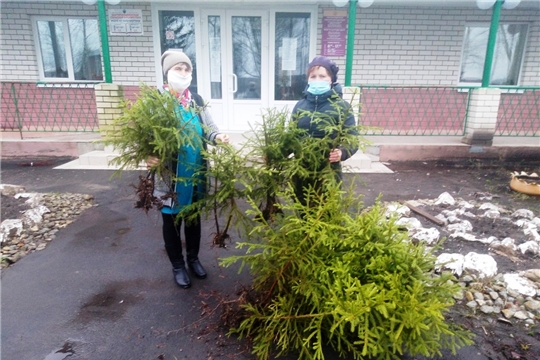 В Батыревском районе продолжается реализация международной акции «Сад памяти»