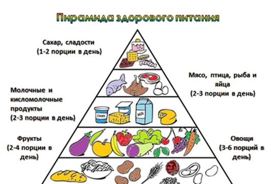 Питание как компонент здорового образа жизни