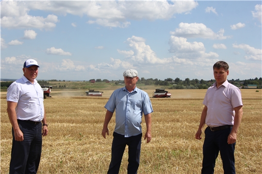 Чебоксарский район приступил к уборке зерновых культур