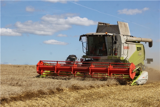 В Чебоксарском районе убрано более 70 % зерновых и зернобобовых культур.