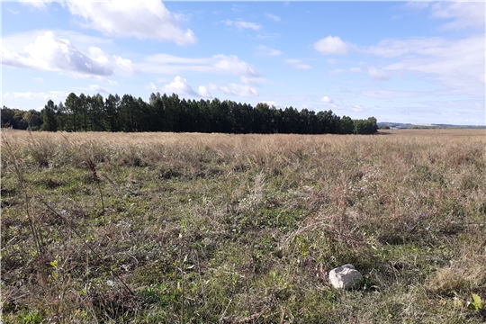 Проведена проверка целевого использования земель сельскохозяйственного назначения в Чебоксарском районе