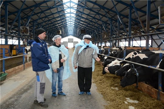 В Чебоксарском районе сельскохозяйственные предприятия и крестьянские (фермерские) хозяйства готовятся к зиме