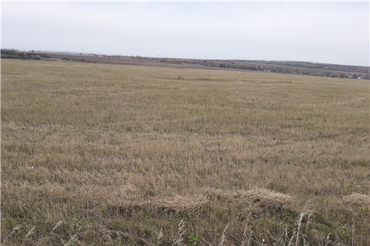 Проведен выездной осмотр целевого использования земель сельскохозяйственного назначения в Чебоксарском районе