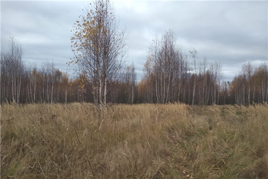 Проведена проверка целевого использования земель сельскохозяйственного назначения в Чебоксарском районе
