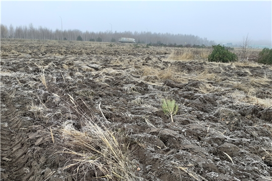 Проведена выездная плановая проверка целевого использования земель сельскохозяйственного назначения в Чебоксарском районе