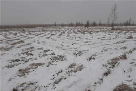 Проведена выездная плановая проверка целевого использования земель сельскохозяйственного назначения в Чебоксарском районе