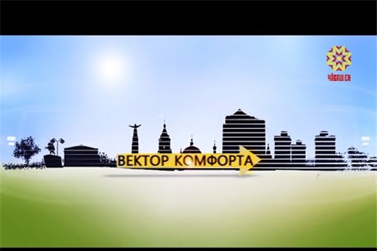 Вектор комфорта. Выпуск 30.04.2020