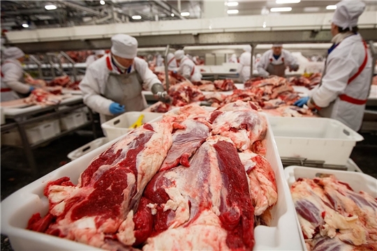 Качество мясной продукции чувашских предприятий соответствует ГОСТу - подтверждает НСС.