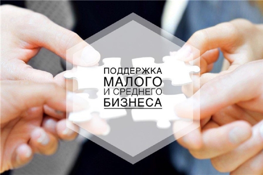 Предоставление кредитными организациями мер поддержки субъектам малого и среднего предпринимательства  Чувашской Республики