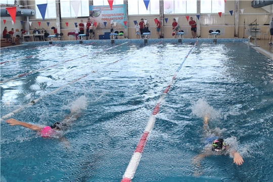 В Алатыре прошёл традиционный республиканский турнир по плаванию, посвящённый памяти В.А. Петрова