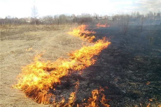 Помните! Палы травы и несоблюдение пожарной безопасности могут привести к пожарам!