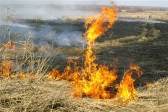 МЧС предупреждает: не сжигайте сухую траву и мусор.