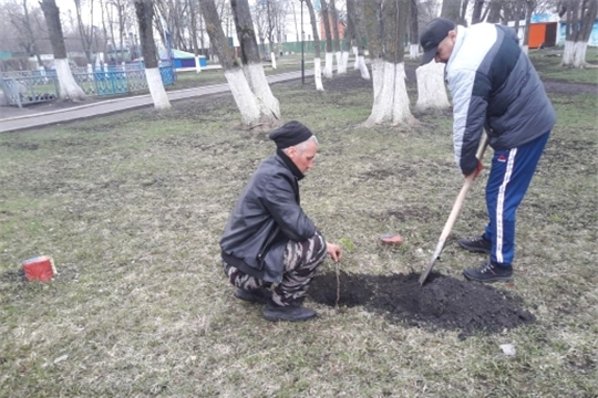 г. Алатырь: работники детского парка «Сказка» поддержали акцию «Сад памяти»