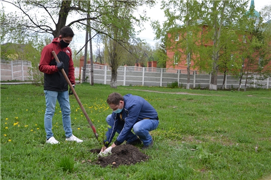 Алатырцы – участники международной акции «Сад памяти»