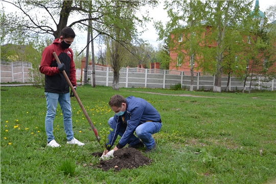 Алатырцы активно участвуют в акции «Сад памяти»