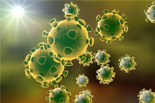 Какие тесты на коронавирус существуют? И в чем разница между ними?