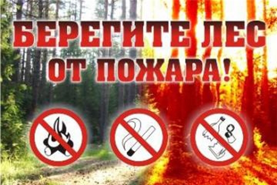 Строго соблюдайте правила пожарной безопасности в лесу!